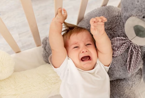 Crise dos 2 anos: aprendendo a superar