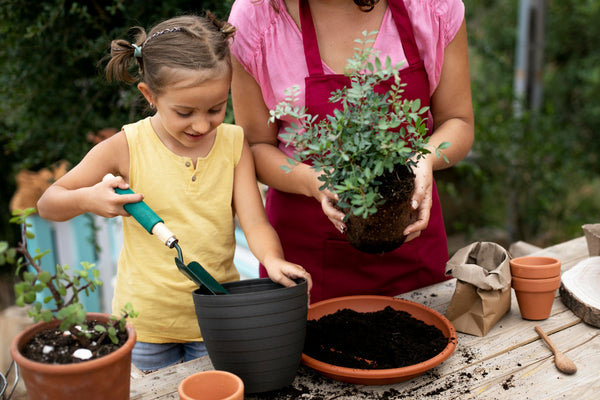férias em casa: jardinagem