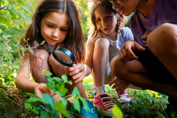 cérebro infantil: contato com a natureza
