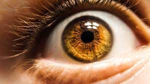 Conheça todas as cores de olhos