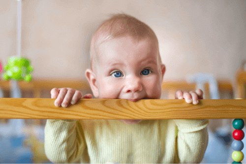 meu bebê mordeu o coleguinha e agora?