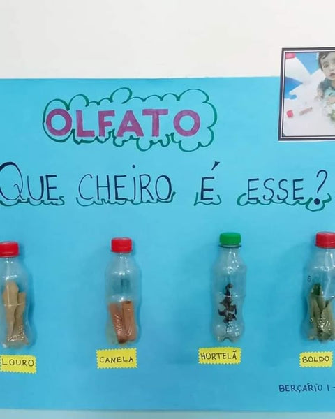 atividades sensoriais - olfato e paladar
