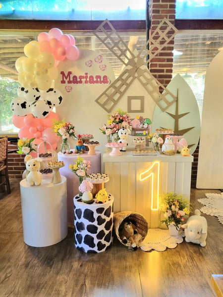 Ideias de aniversário de 1 ano para meninas: Fazendinha