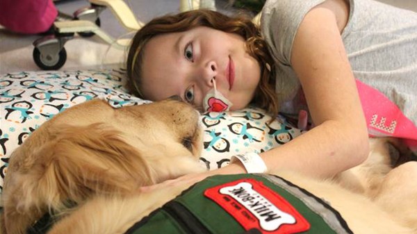 melhores raças de cachorro para crianças