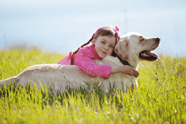 As 8 melhores raças de cachorro para crianças