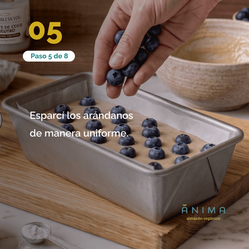 receta de budin o torta de arandanos saludable sin harina refinada con harina de almendras y harina de coco - anima organico