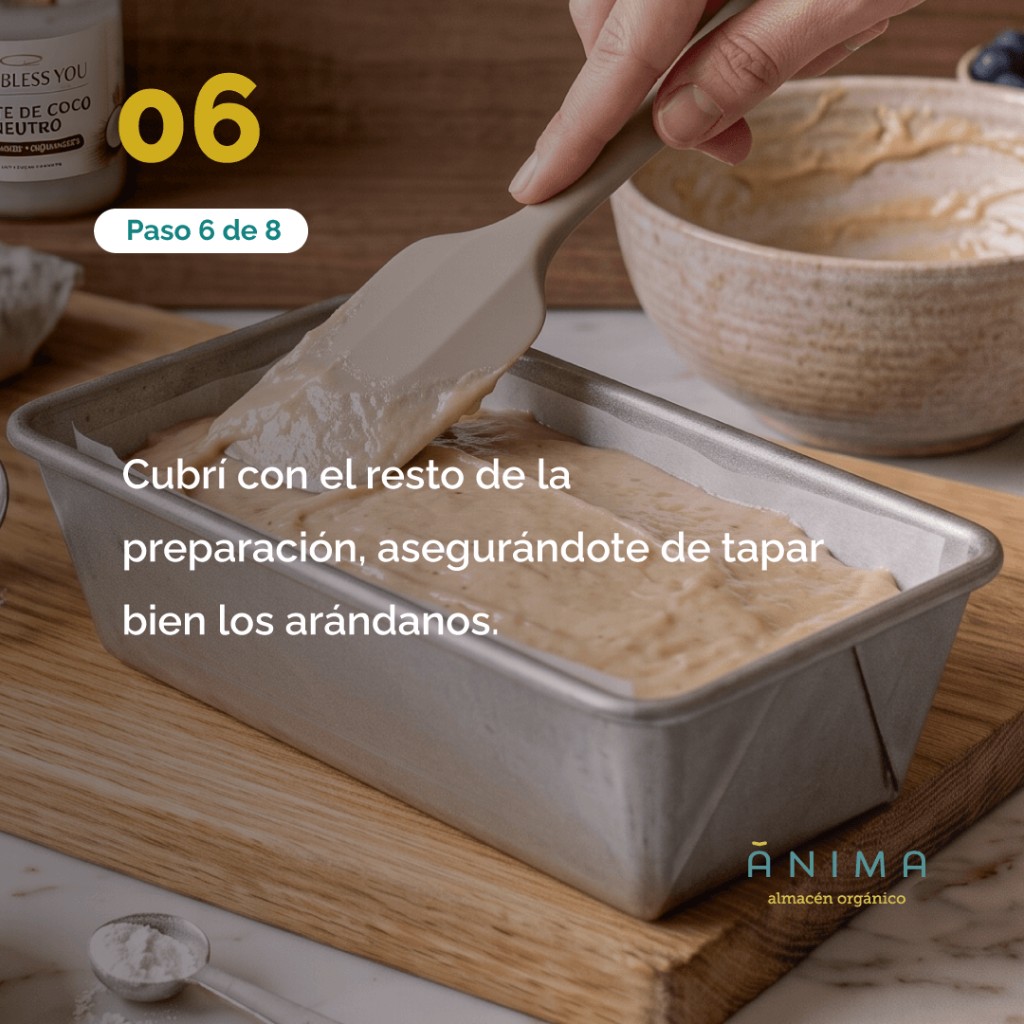 receta de budin o torta de arandanos saludable sin harina refinada con harina de almendras y harina de coco - anima organico