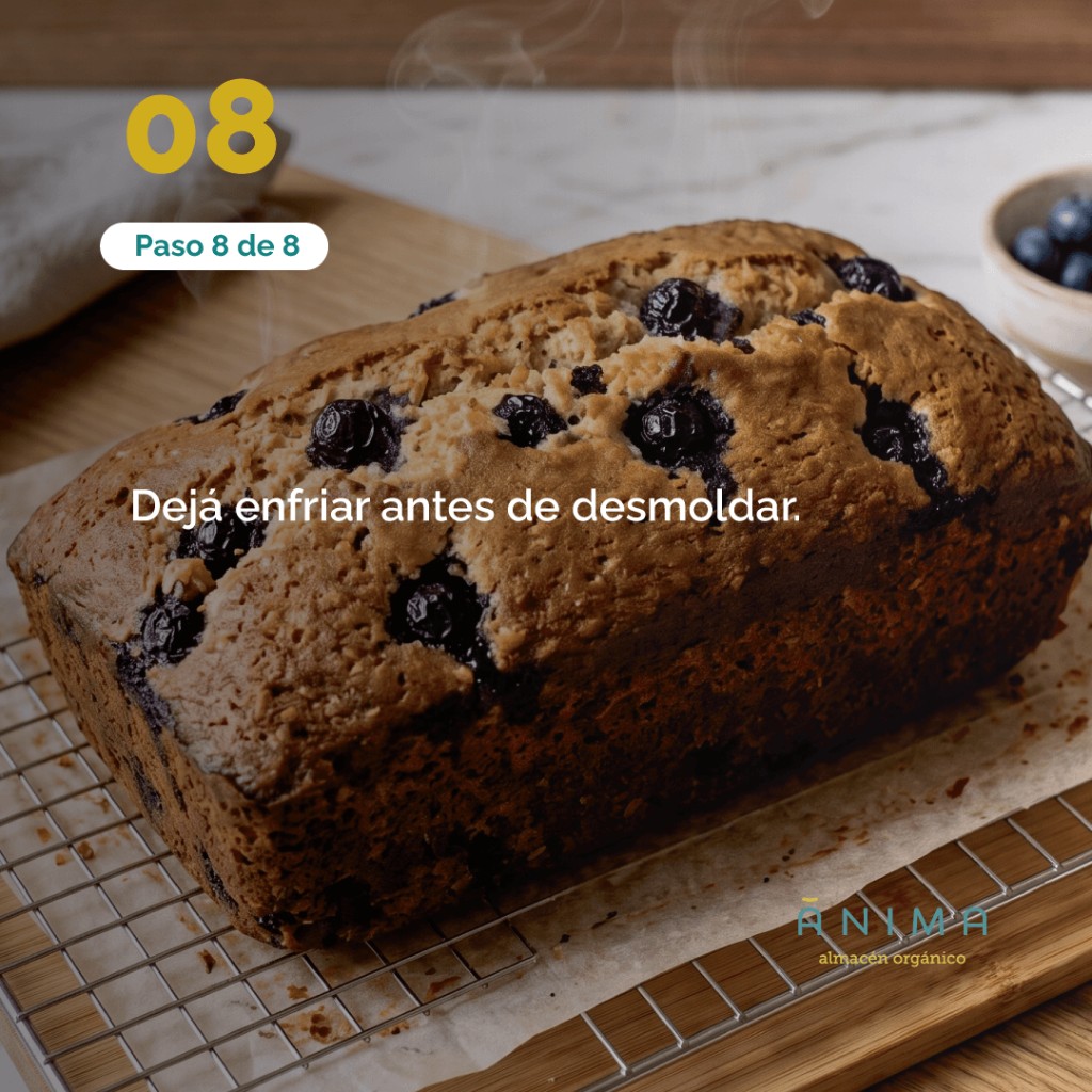 receta de budin o torta de arandanos saludable sin harina refinada con harina de almendras y harina de coco - anima organico