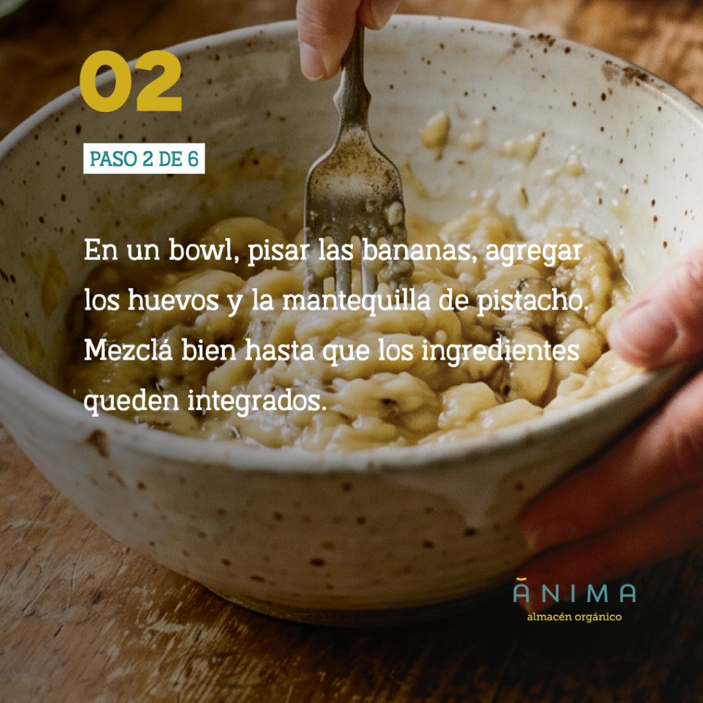 budin de coco y cacao receta saludable anima organico (