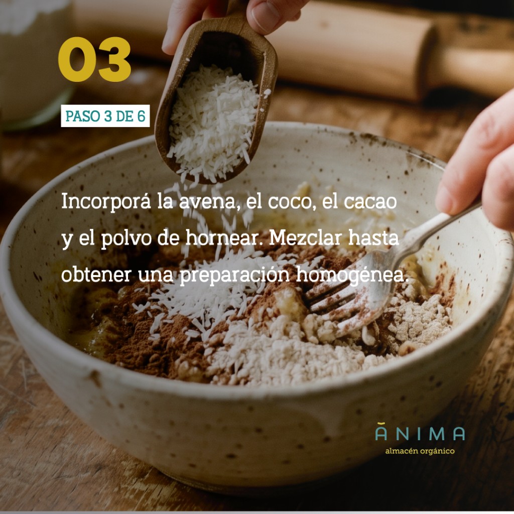 budin de coco y cacao receta saludable anima organico (