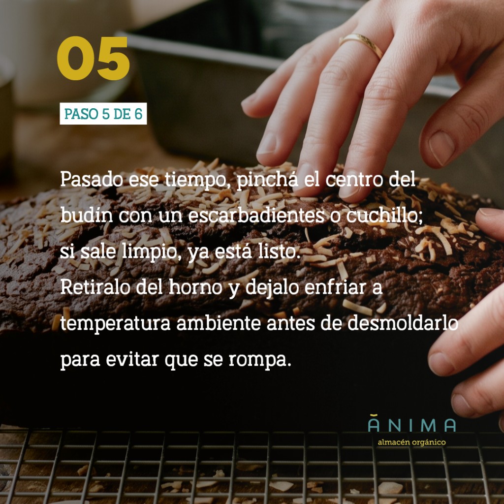budin de coco y cacao receta saludable anima organico (