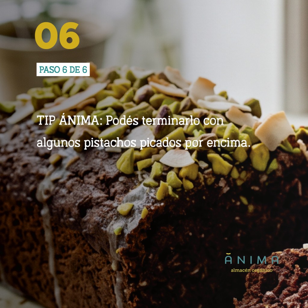 budin de coco y cacao receta saludable anima organico (