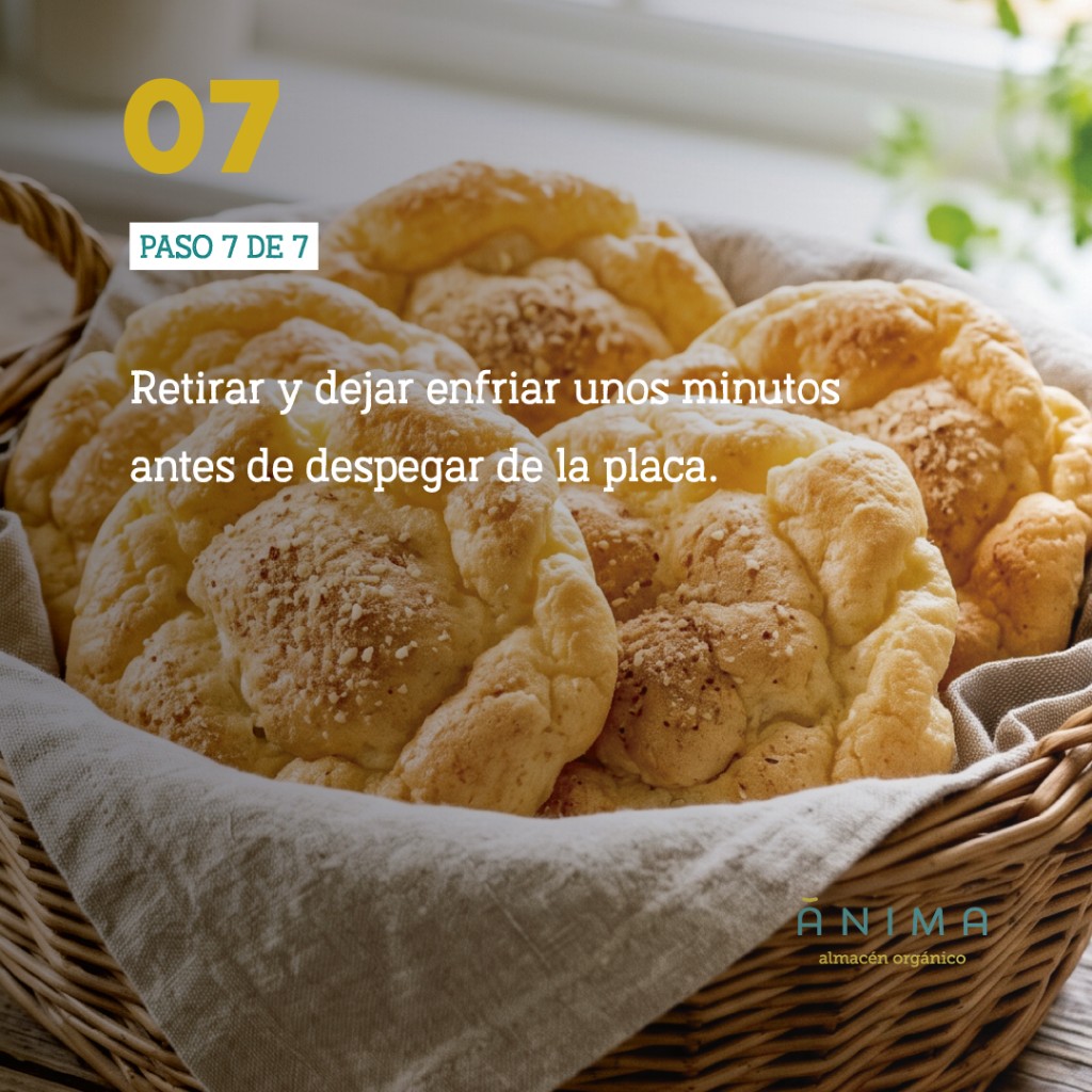 receta de pan saludable anima organico recetanimas antiinflamatorio