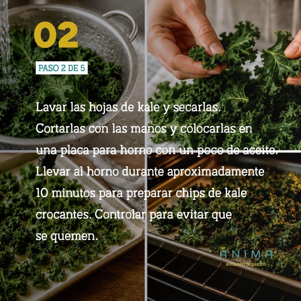 ensalada rica y saludable recetanimas anima almacen organico recetas saludables