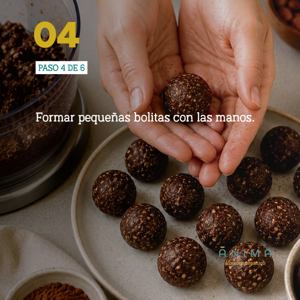 snack saludable receta bolitas de cacao y almendras recetanimas anima almacen saludable