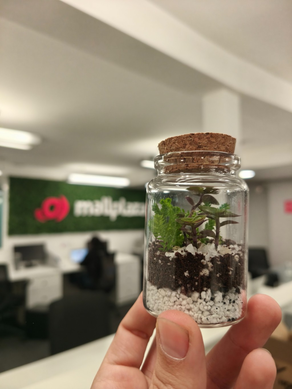 Terrario corporativo Planeta Musgo