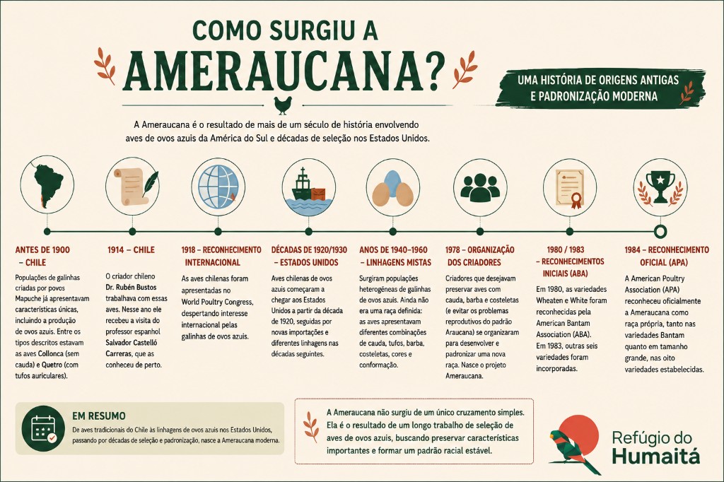 historia da galinha de ovo azul