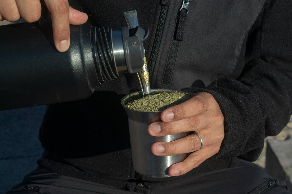 yerba mate benefits