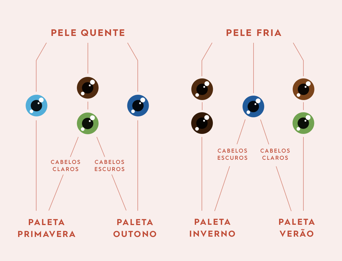 Organograma como descobrir paleta de cores 