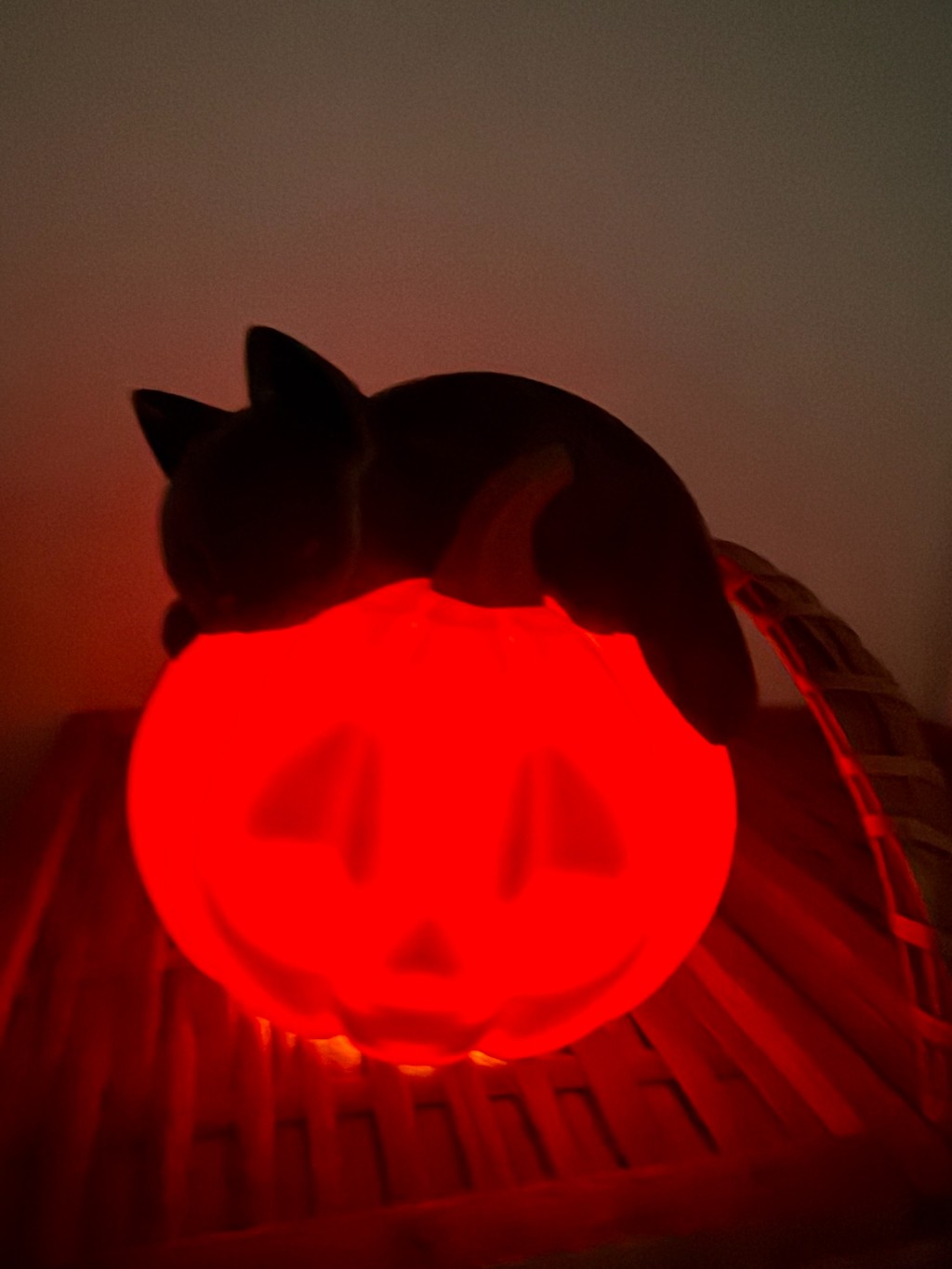 Descrição SEO Decore seu Halloween com uma luminária de abóbora com gato preto da Raro 3D Studio. Produzida em impressão 3D, com envio para todo o Brasil.